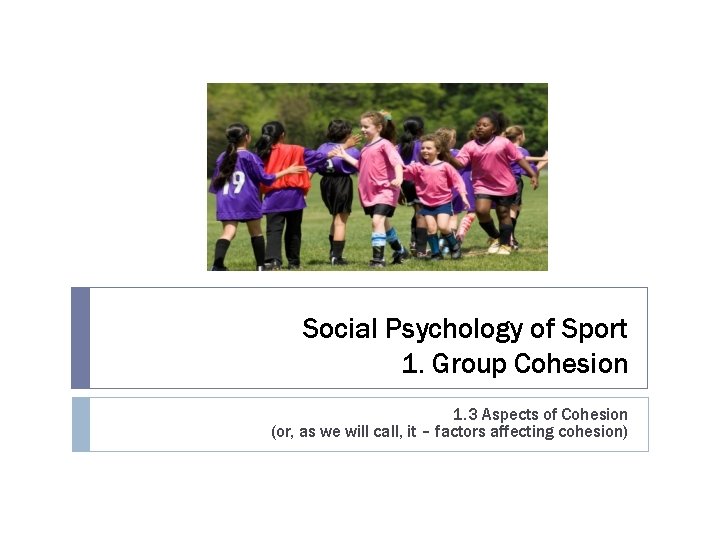 Social Psychology of Sport 1. Group Cohesion 1. 3 Aspects of Cohesion (or, as