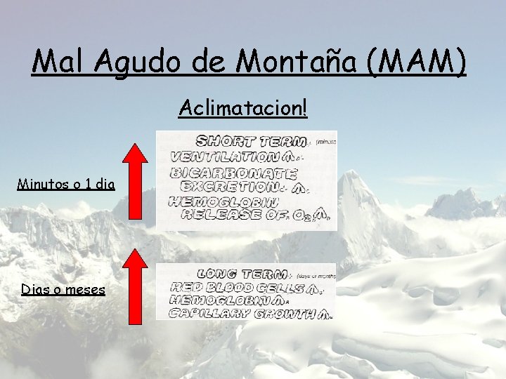 Mal Agudo de Montaña (MAM) Aclimatacion! Minutos o 1 dia Dias o meses 