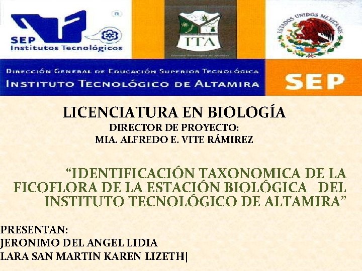 LICENCIATURA EN BIOLOGÍA DIRECTOR DE PROYECTO: MIA. ALFREDO E. VITE RÁMIREZ “IDENTIFICACIÓN TAXONOMICA DE