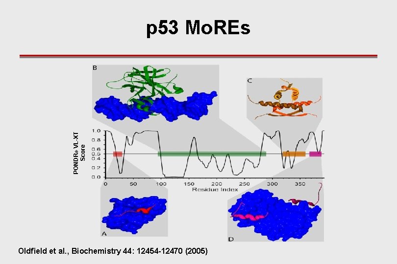 PONDR® VL-XT Score p 53 Mo. REs Oldfield et al. , Biochemistry 44: 12454