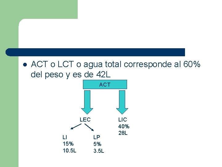 l ACT o LCT o agua total corresponde al 60% del peso y es