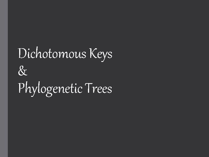 Dichotomous Keys & Phylogenetic Trees 