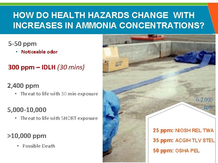 HOW DO HEALTH HAZARDS CHANGE WITH INCREASES IN AMMONIA CONCENTRATIONS? 5 -50 ppm •