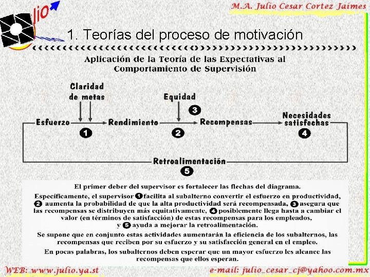 1. Teorías del proceso de motivación 