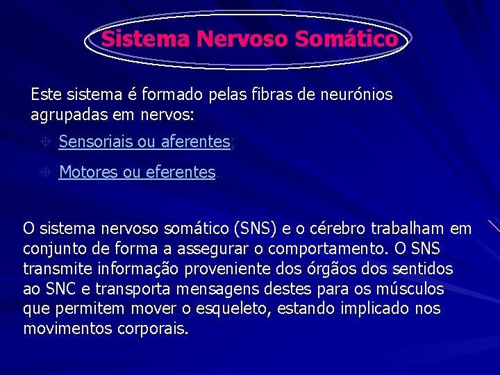 Sistema Nervoso Somático Este sistema é formado pelas fibras de neurónios agrupadas em nervos: