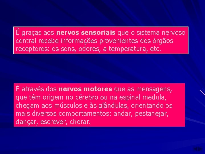 É graças aos nervos sensoriais que o sistema nervoso central recebe informações provenientes dos