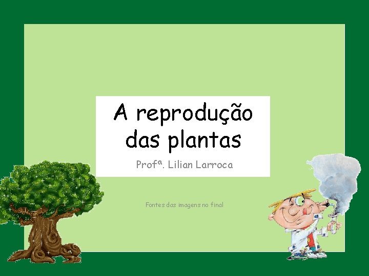 A reprodução das plantas Profª. Lilian Larroca Fontes das imagens no final 