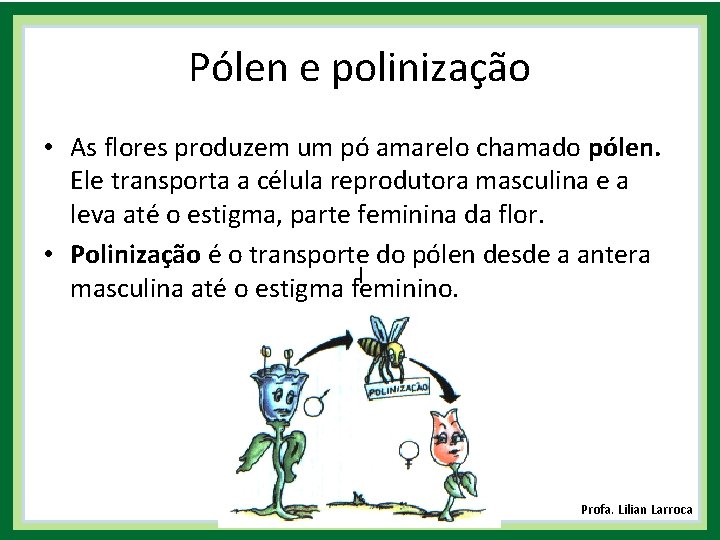 Pólen e polinização • As flores produzem um pó amarelo chamado pólen. Ele transporta