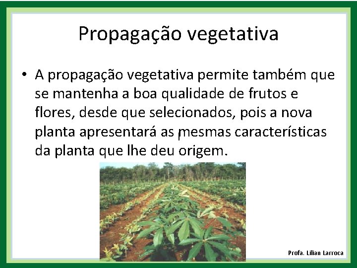 Propagação vegetativa • A propagação vegetativa permite também que se mantenha a boa qualidade