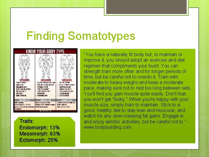 Finding Somatotypes Traits: Endomorph: 13% Mesomorph: 63% Ectomorph: 25% “You have a naturally fit