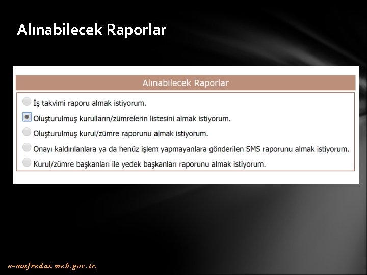 Alınabilecek Raporlar e-mufredat. meb. gov. tr, 