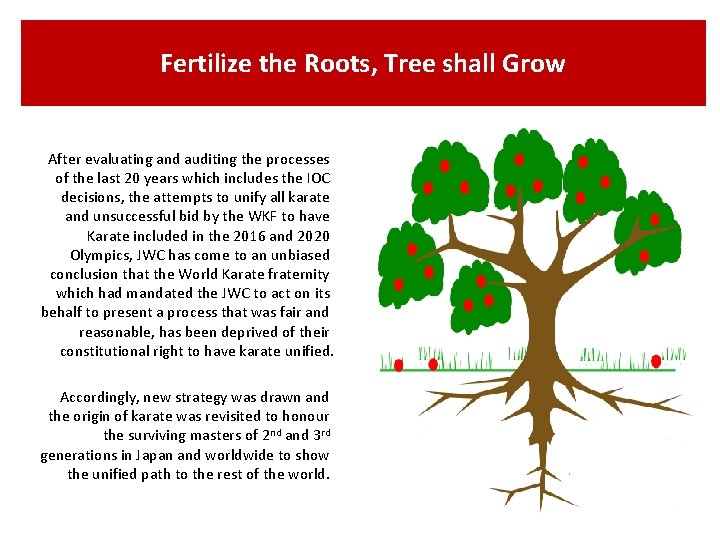 Fertilize the Roots, Tree shall Grow After evaluating and auditing the processes of the