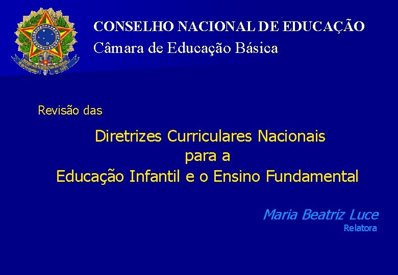 CONSELHO NACIONAL DE EDUCAÇÃO Câmara de Educação Básica Revisão das Diretrizes Curriculares Nacionais para