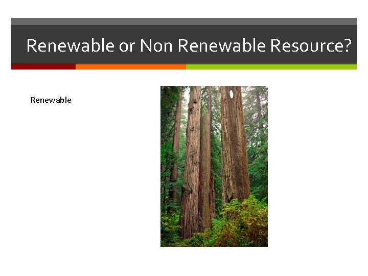 Renewable or Non Renewable Resource? Renewable Renewable or Non Renewable Resource? Renewable