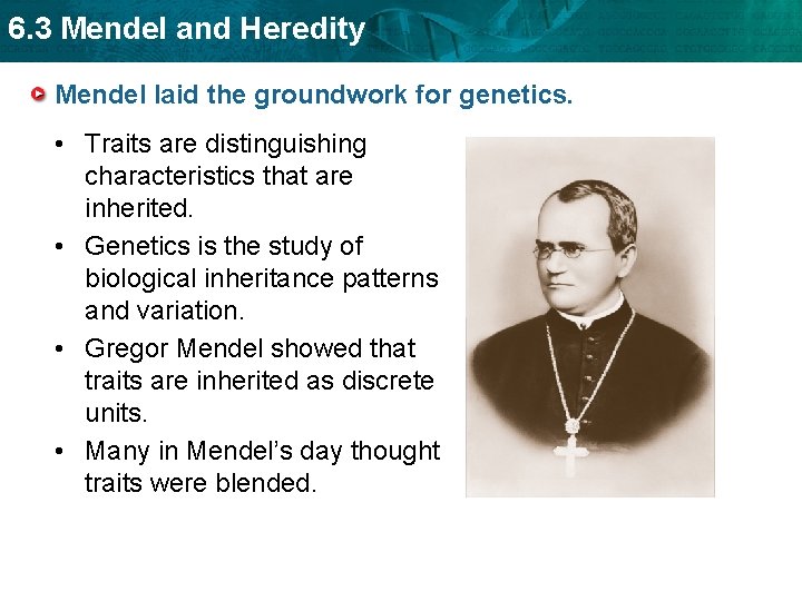 6. 3 Mendel and Heredity Mendel laid the groundwork for genetics. • Traits are 6. 3 Mendel and Heredity Mendel laid the groundwork for genetics. • Traits are
