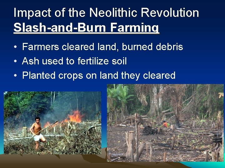 Impact of the Neolithic Revolution Slash-and-Burn Farming • Farmers cleared land, burned debris •