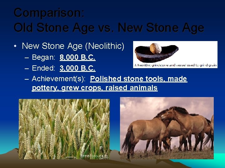 Comparison: Old Stone Age vs. New Stone Age • New Stone Age (Neolithic) –