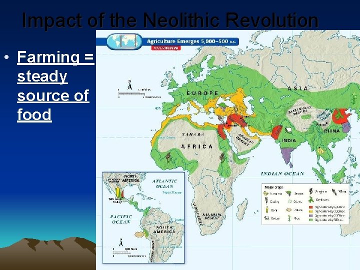 Impact of the Neolithic Revolution • Farming = steady source of food 