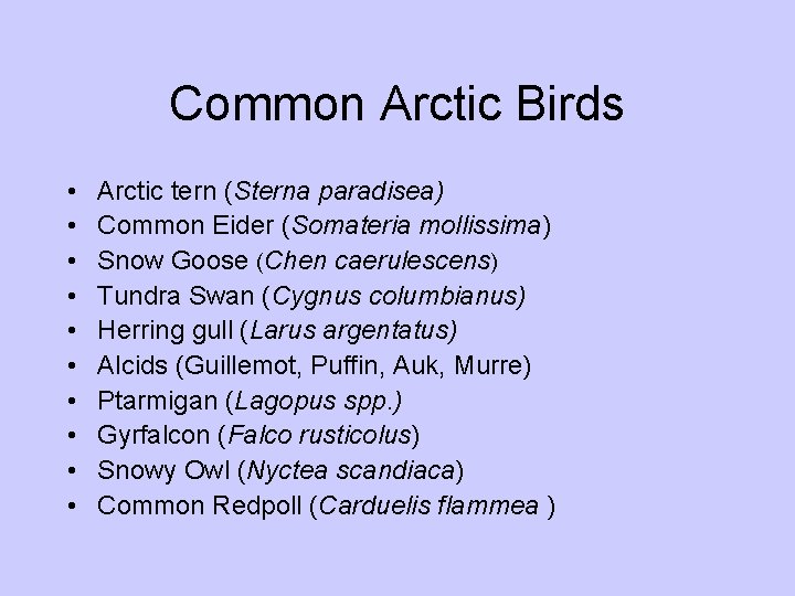 Common Arctic Birds • • • Arctic tern (Sterna paradisea) Common Eider (Somateria mollissima) Common Arctic Birds • • • Arctic tern (Sterna paradisea) Common Eider (Somateria mollissima)