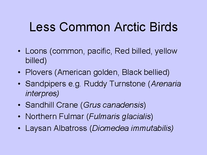 Less Common Arctic Birds • Loons (common, pacific, Red billed, yellow billed) • Plovers Less Common Arctic Birds • Loons (common, pacific, Red billed, yellow billed) • Plovers