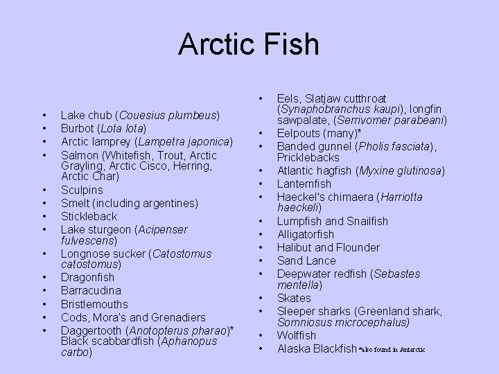 Arctic Fish • • • • Lake chub (Couesius plumbeus) Burbot (Lota lota) Arctic Arctic Fish • • • • Lake chub (Couesius plumbeus) Burbot (Lota lota) Arctic