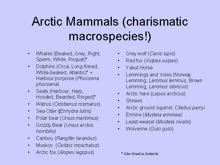 Arctic Mammals (charismatic macrospecies!) • • • Whales (Beaked, Grey, Right, Sperm, White, Roqual)* Arctic Mammals (charismatic macrospecies!) • • • Whales (Beaked, Grey, Right, Sperm, White, Roqual)*