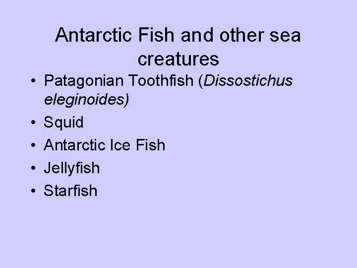 Antarctic Fish and other sea creatures • Patagonian Toothfish (Dissostichus eleginoides) • Squid • Antarctic Fish and other sea creatures • Patagonian Toothfish (Dissostichus eleginoides) • Squid •