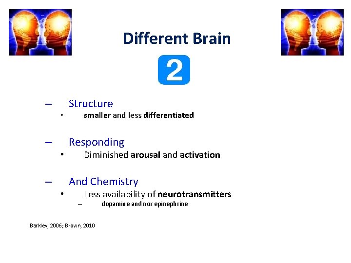 Different Brain – • Structure smaller and less differentiated Responding Diminished arousal and activation