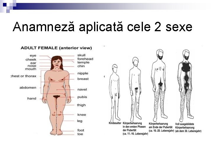 Anamneză aplicată cele 2 sexe 