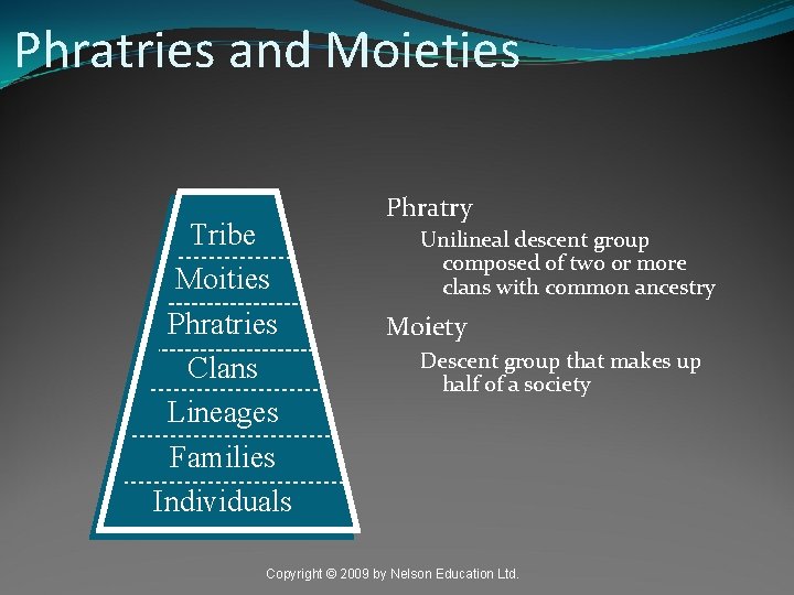 Phratries and Moieties Tribe Moities Phratries Clans Lineages Families Individuals Phratry Unilineal descent group