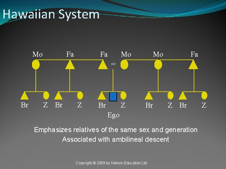 Hawaiian System Mo Fa Fa Mo Mo Fa = Br Z Br Ego Emphasizes
