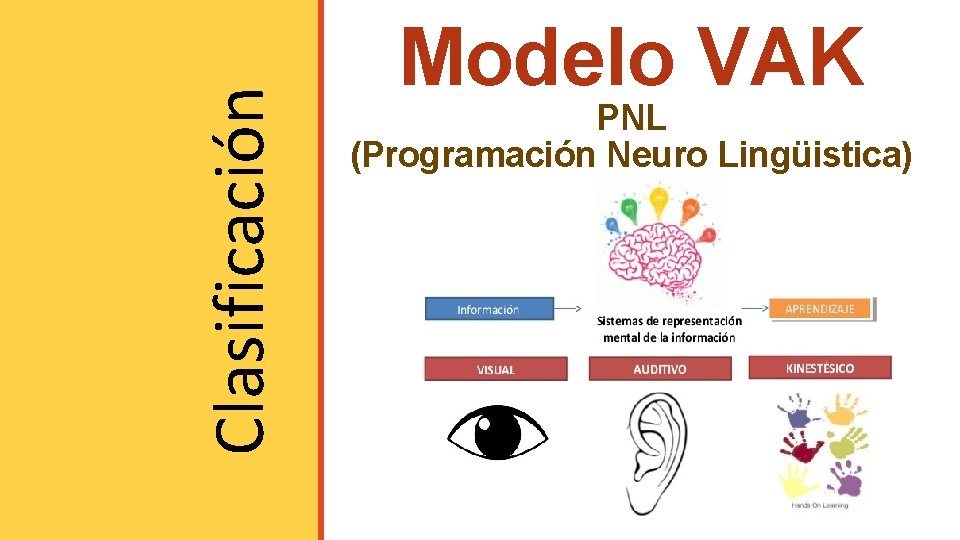 Clasificación Modelo VAK PNL (Programación Neuro Lingüistica) 