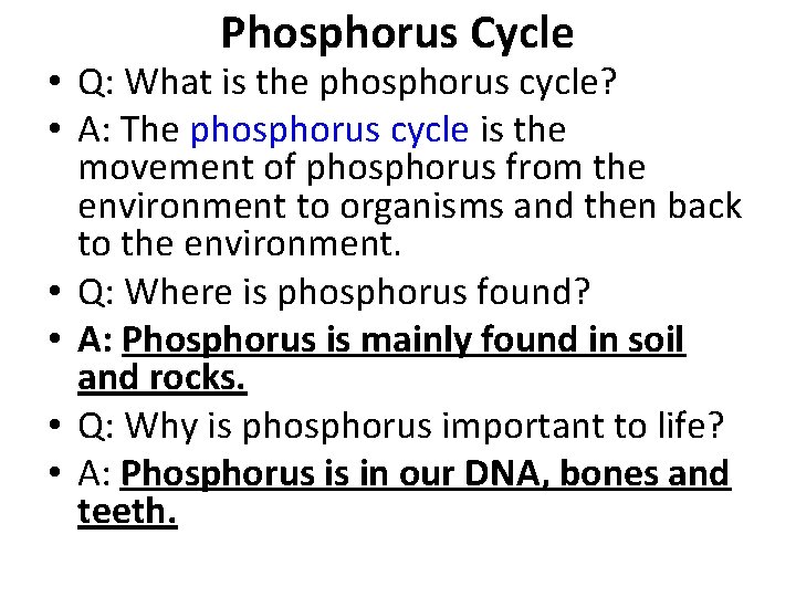 Phosphorus Cycle • Q: What is the phosphorus cycle? • A: The phosphorus cycle