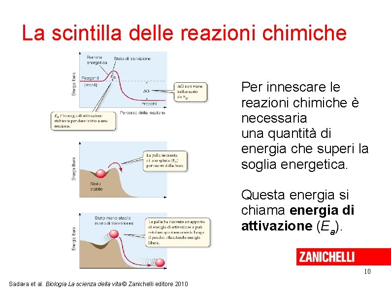 La scintilla delle reazioni chimiche Per innescare le reazioni chimiche è necessaria una quantità