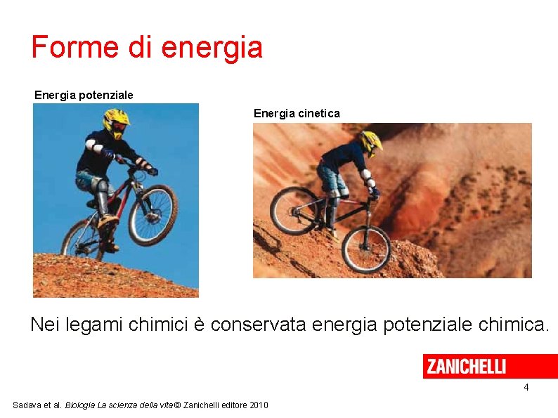 Forme di energia Energia potenziale Energia cinetica Nei legami chimici è conservata energia potenziale