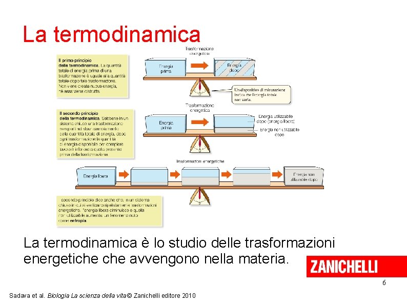 La termodinamica è lo studio delle trasformazioni energetiche avvengono nella materia. 6 Sadava et