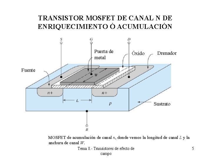 TRANSISTOR MOSFET DE CANAL N DE ENRIQUECIMIENTO Ó ACUMULACIÓN Tema 8. - Transistores de TRANSISTOR MOSFET DE CANAL N DE ENRIQUECIMIENTO Ó ACUMULACIÓN Tema 8. - Transistores de