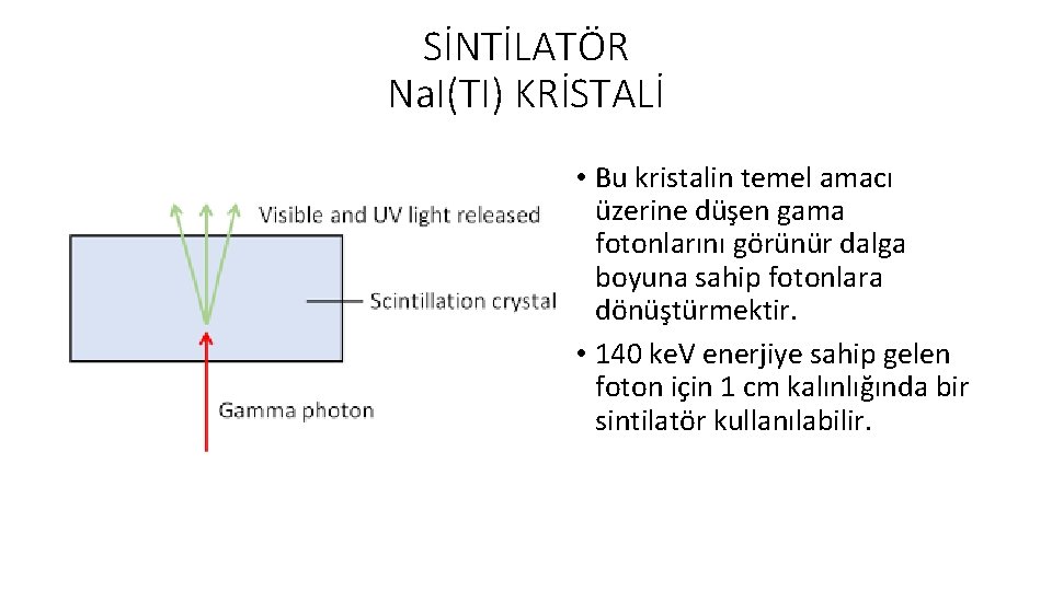 SİNTİLATÖR Na. I(TI) KRİSTALİ • Bu kristalin temel amacı üzerine düşen gama fotonlarını görünür