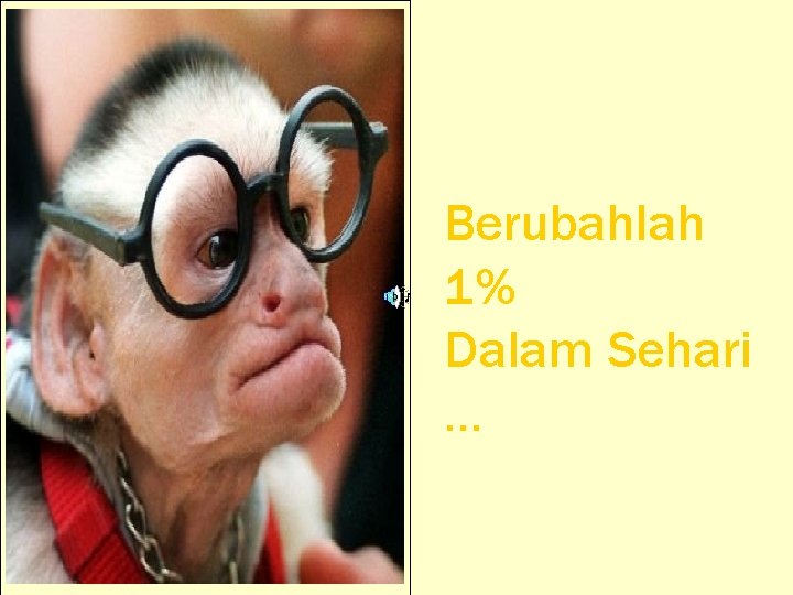 Berubahlah 1% Dalam Sehari … Berubahlah 1% Dalam Sehari …