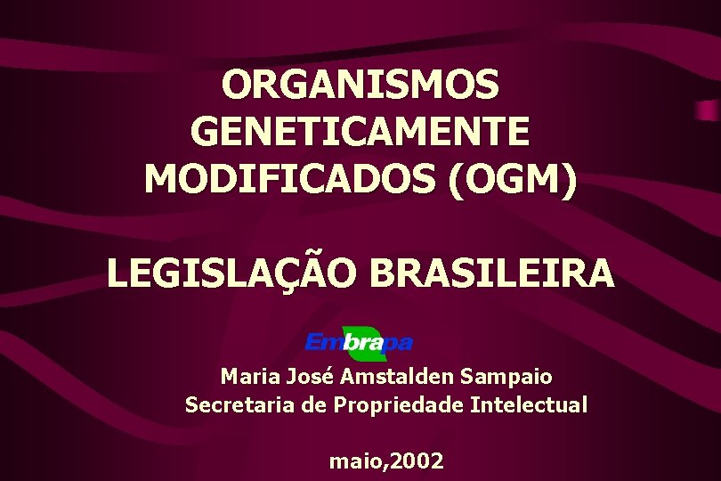 ORGANISMOS GENETICAMENTE MODIFICADOS (OGM) LEGISLAÇÃO BRASILEIRA Maria José Amstalden Sampaio Secretaria de Propriedade Intelectual