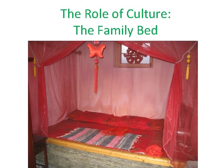 The Role of Culture: The Family Bed 