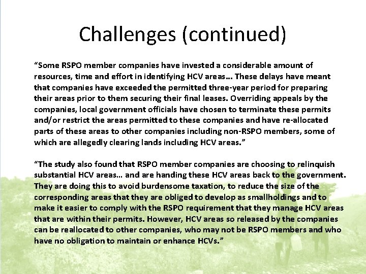 Challenges (continued) “Some RSPO member companies have invested a considerable amount of resources, time