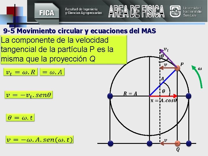  9 -5 Movimiento circular y ecuaciones del MAS La componente de la velocidad