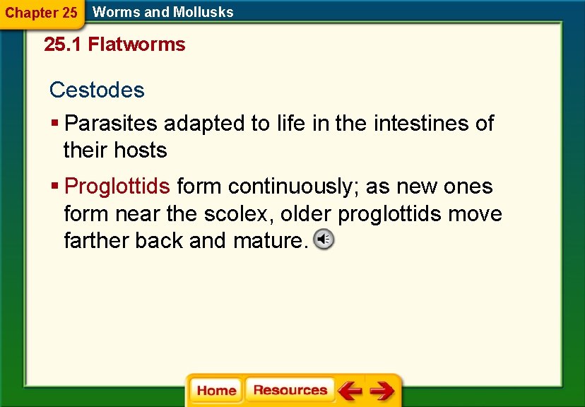 Chapter 25 Worms and Mollusks 25. 1 Flatworms Cestodes § Parasites adapted to life