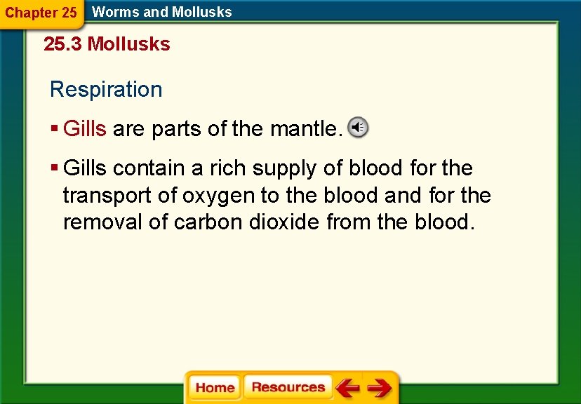 Chapter 25 Worms and Mollusks 25. 3 Mollusks Respiration § Gills are parts of