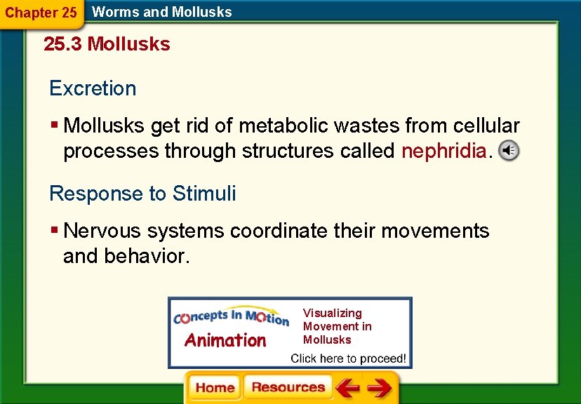 Chapter 25 Worms and Mollusks 25. 3 Mollusks Excretion § Mollusks get rid of