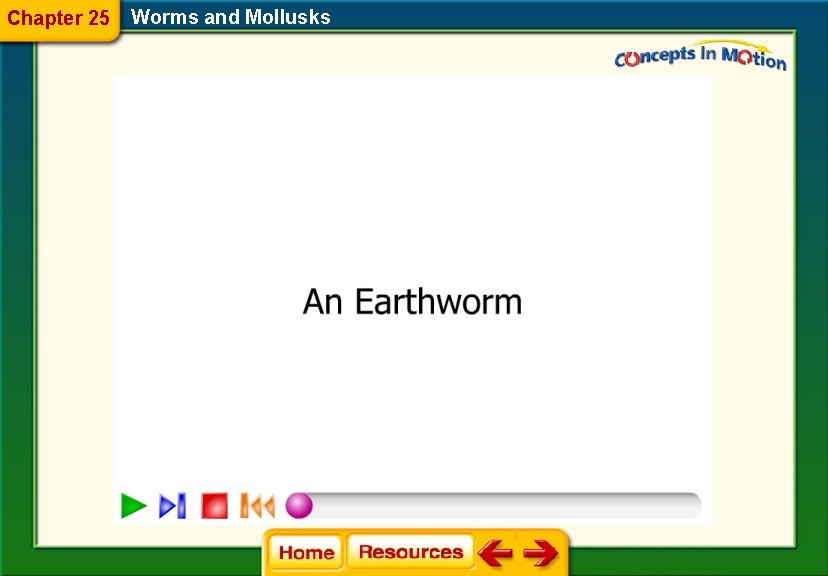Chapter 25 Worms and Mollusks 
