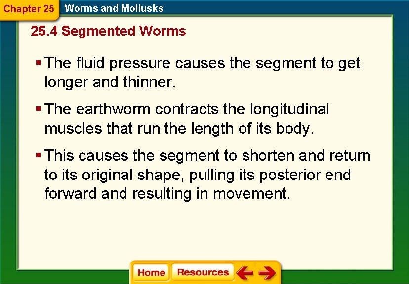 Chapter 25 Worms and Mollusks 25. 4 Segmented Worms § The fluid pressure causes