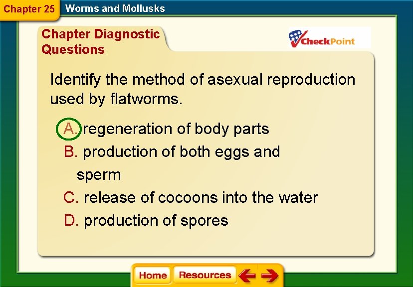 Chapter 25 Worms and Mollusks Chapter Diagnostic Questions Identify the method of asexual reproduction
