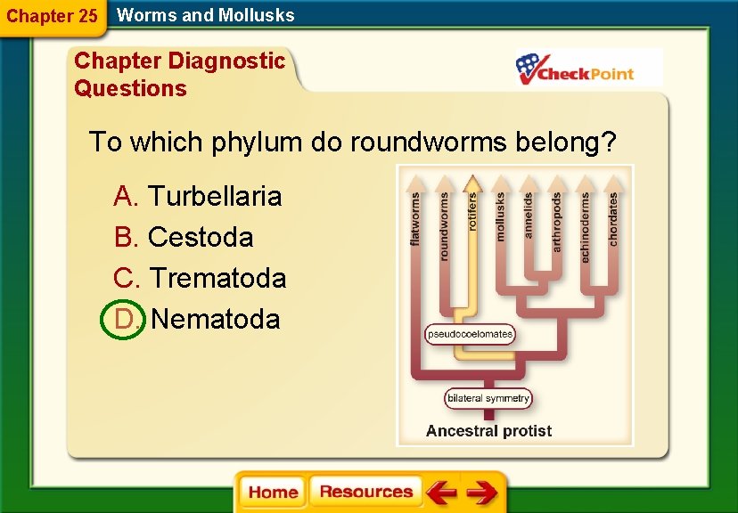 Chapter 25 Worms and Mollusks Chapter Diagnostic Questions To which phylum do roundworms belong?